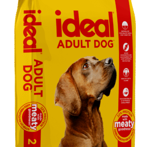 Ideal Dog Adult