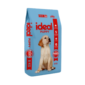 Ideal Dog Puppy
